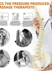 Cervical Support | Neck Traction Device with Acupoint Massage