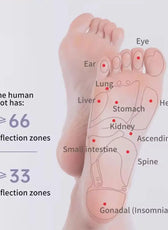 Dual-Wheel Foot Massager for Deep Tissue Relief