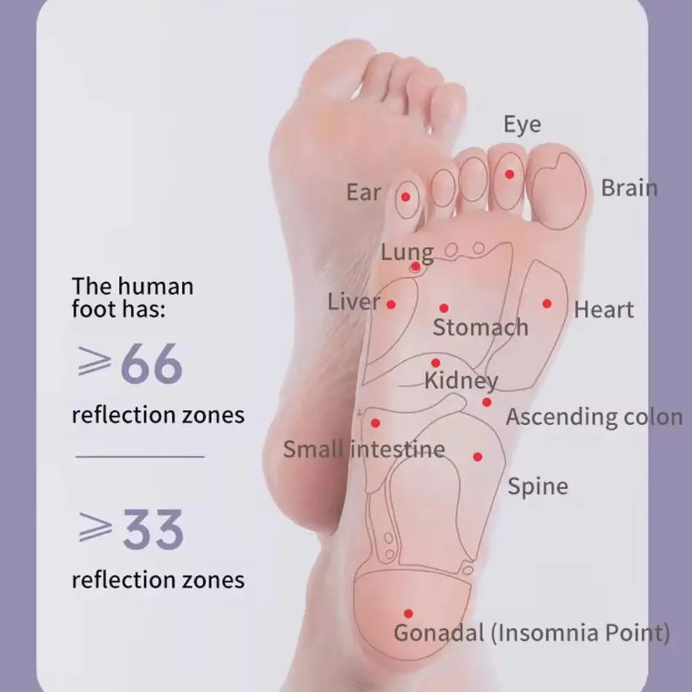 Dual-Wheel Foot Massager for Deep Tissue Relief